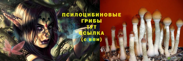 амфетамин Солнечногорск