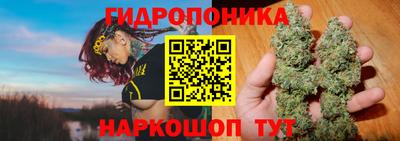гидропоника Бийск