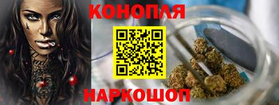 гидропоника Бийск