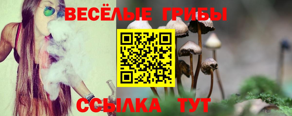 Галлюциногенные грибы MAGIC MUSHROOMS Чусовой